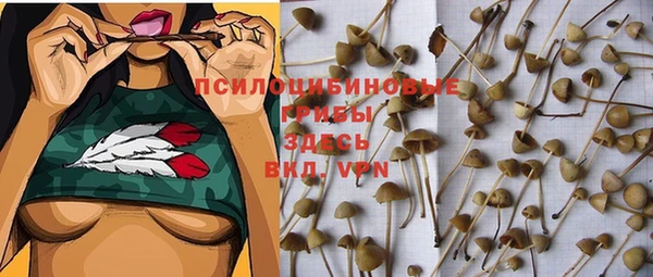 мескалин Богородск