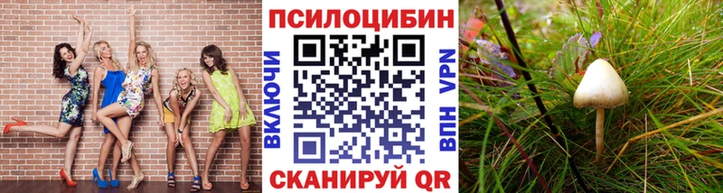 Галлюциногенные грибы GOLDEN TEACHER  Кириллов 